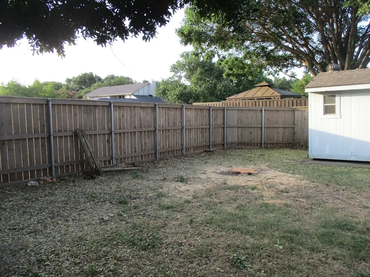 Cleared yard after professional tree removal in Geary